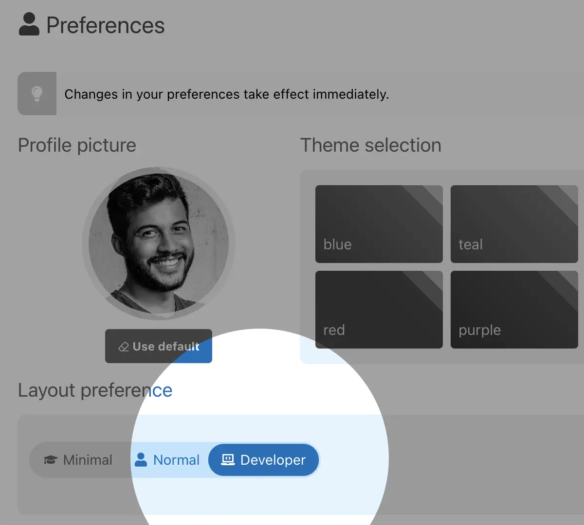 Preferences – Developer option