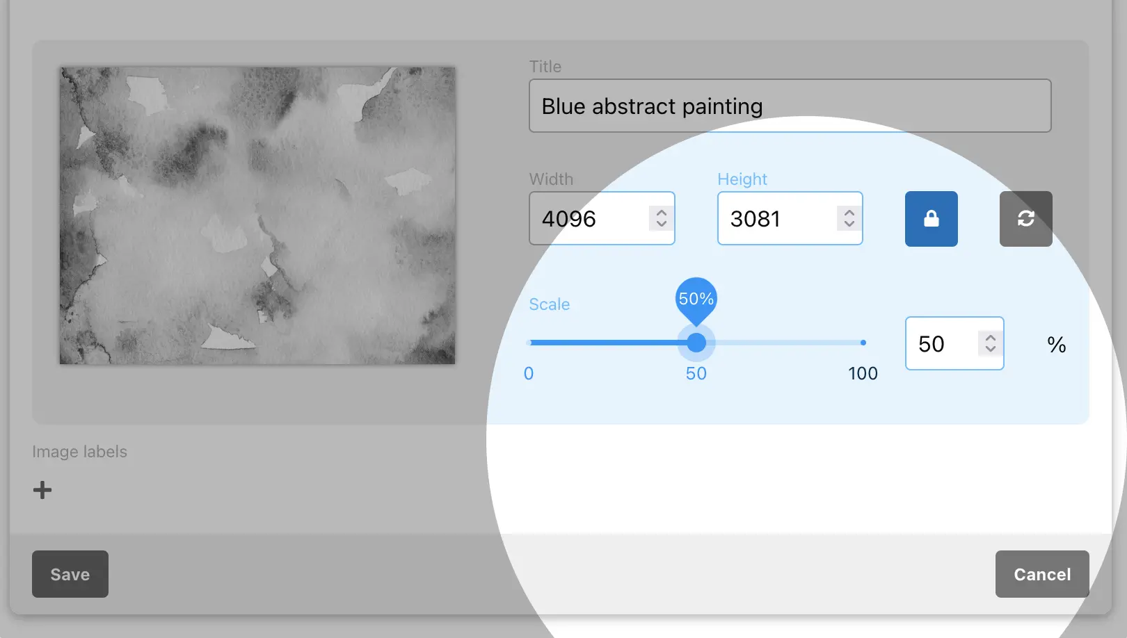 feature_image_modal_scale.png